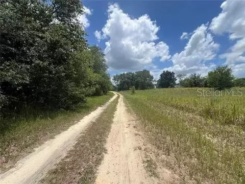 Ocala, FL 34481,TBD SW 33RD LN