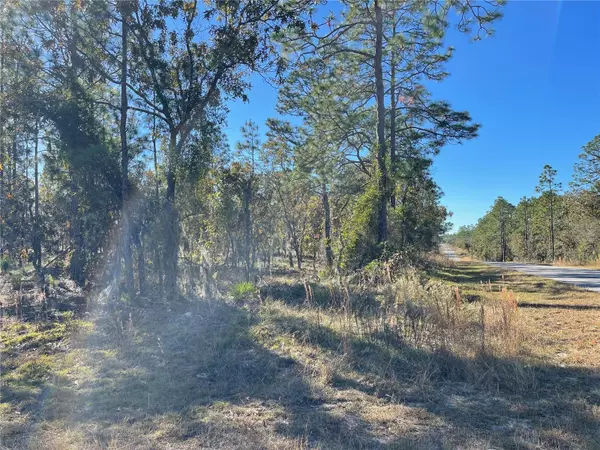 Dunnellon, FL 34431,Lot 1 SE 131ST AVE