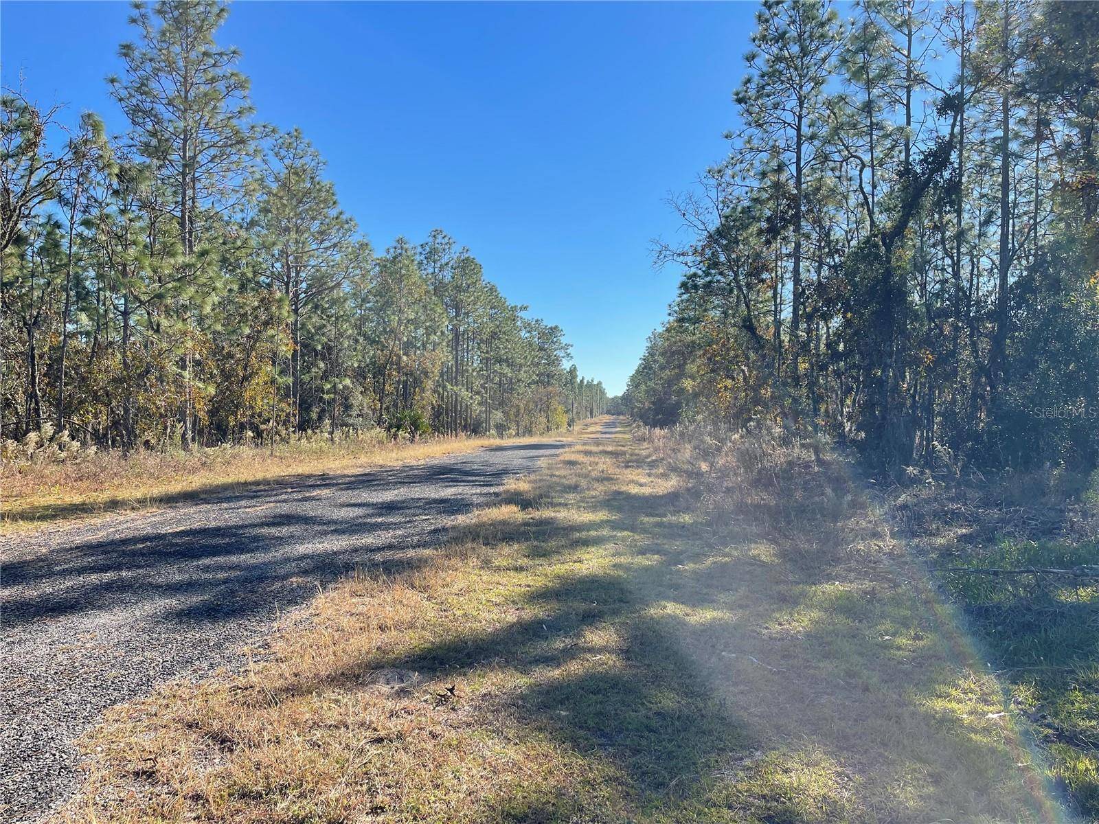 Dunnellon, FL 34431,Lot 1 SE 131ST AVE