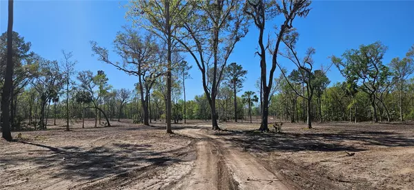 Micanopy, FL 32667,62ac NW 193RD ST
