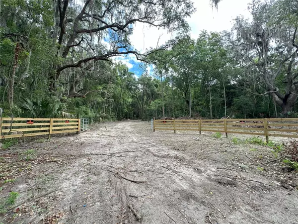 Micanopy, FL 32667,84ac NW 193RD ST