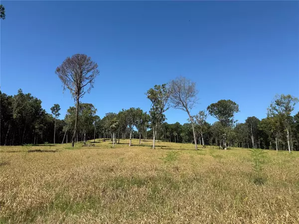 Micanopy, FL 32667,84ac NW 193RD ST