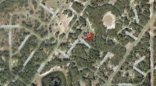 Ocklawaha, FL 32179,TBD BAY PLACE