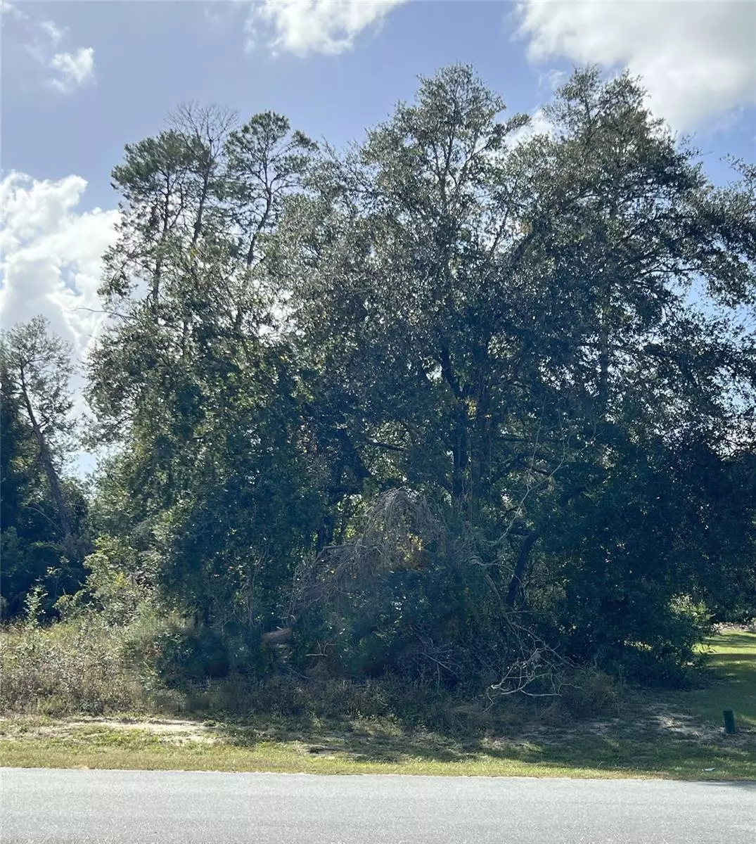 Ocala, FL 34473,TBD SW 27TH TERRACE RD