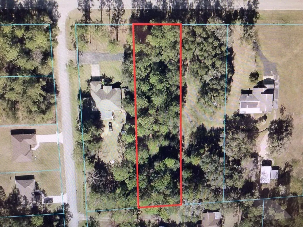 Dunnellon, FL 34431,0 SW 54TH STREET