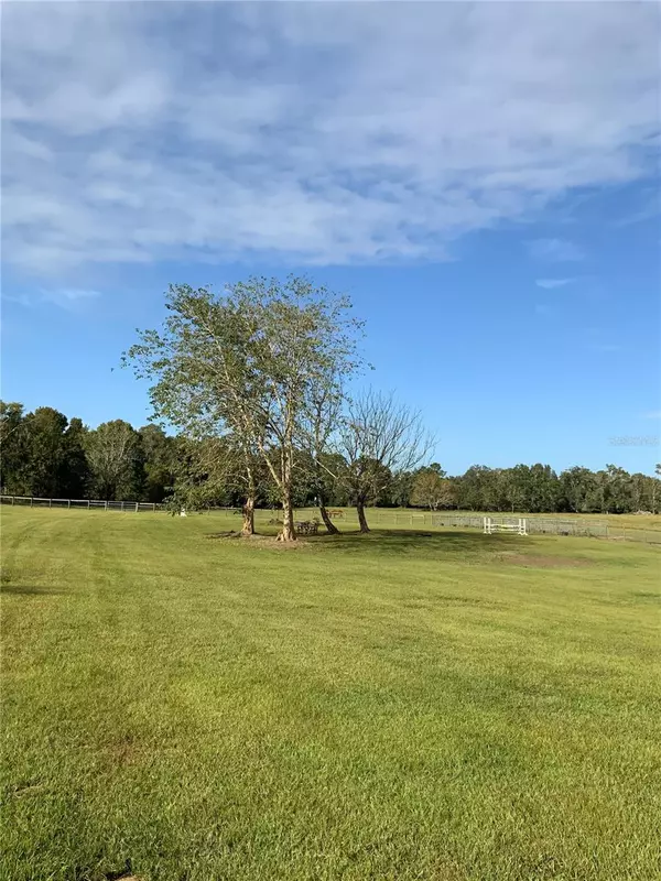 Reddick, FL 32686,TBD W 329 HWY