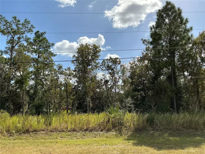 HEMLOCK LOOP, Ocala, FL 34472