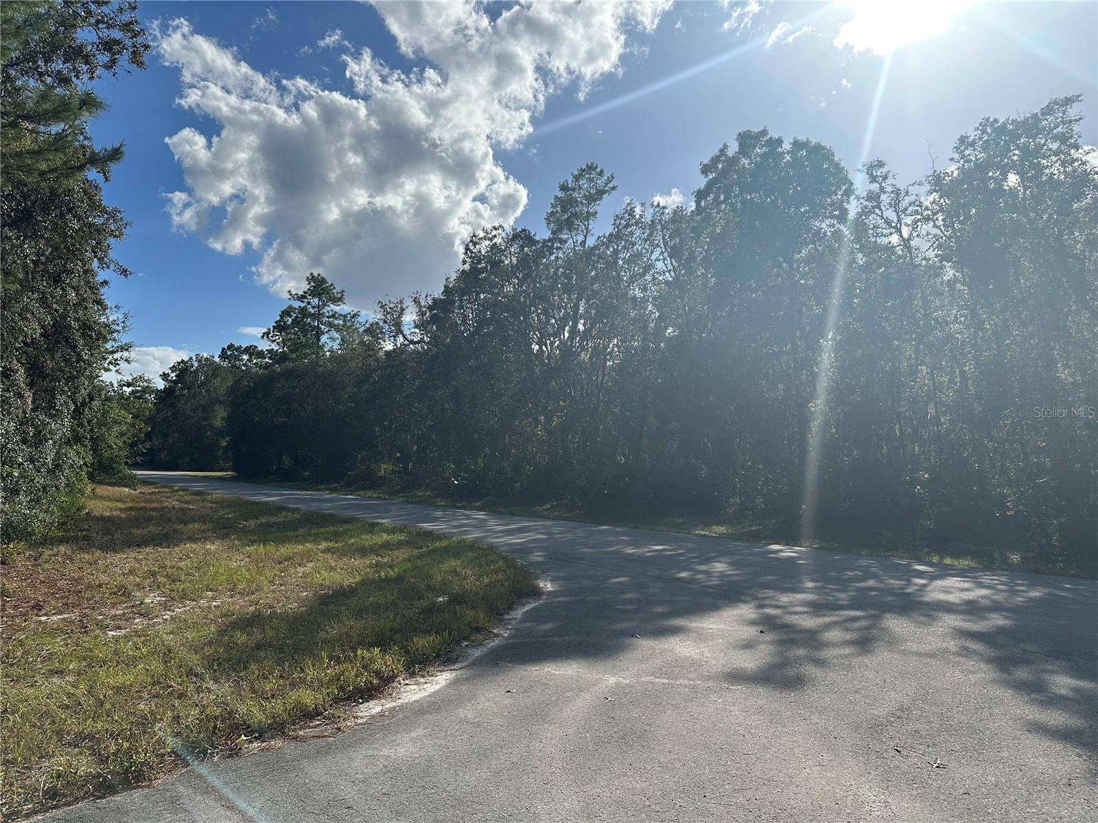 Ocala, FL 34473,0000 SW 57TH AVE