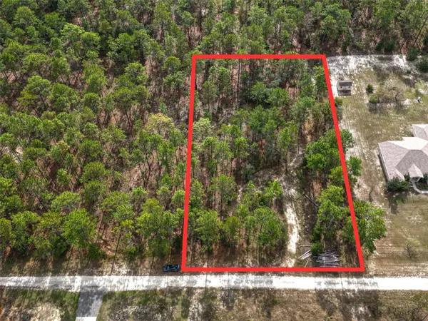 Ocala, FL 34481,TBD SW 48TH LANE RD