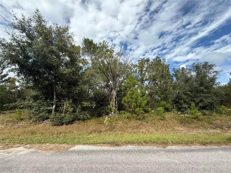 000 MALAUKA LOOP TRAK, Ocklawaha, FL 32179