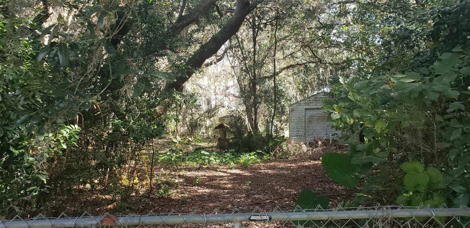 Salt Springs, FL 32134,24971 NE 135TH ST