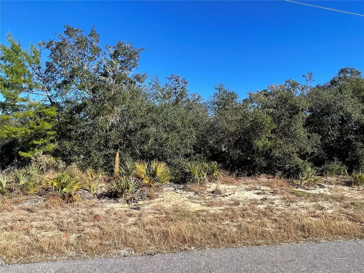 Ocklawaha, FL 32179,TBD FISHER TRACE