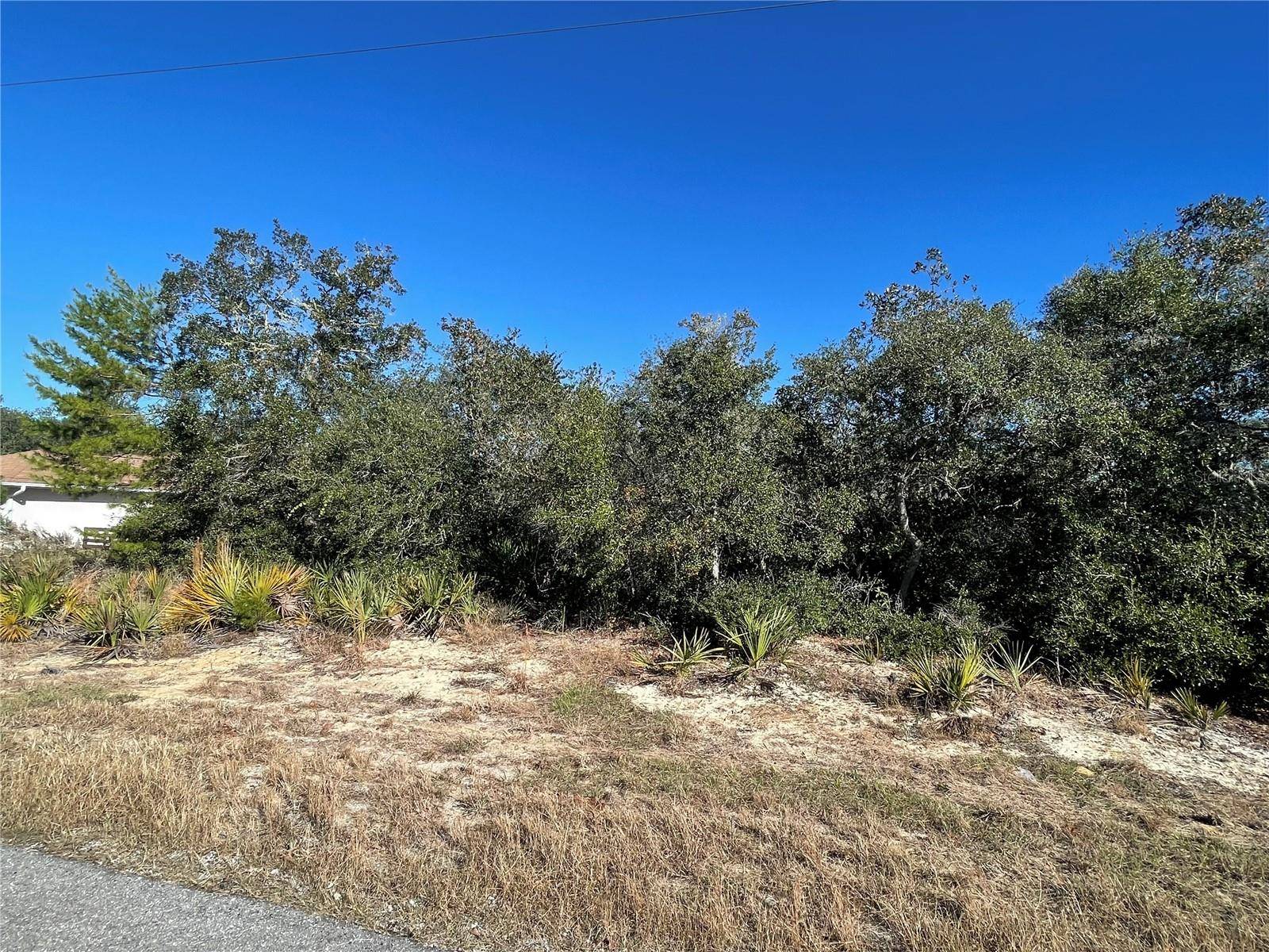 Ocklawaha, FL 32179,TBD FISHER TRACE