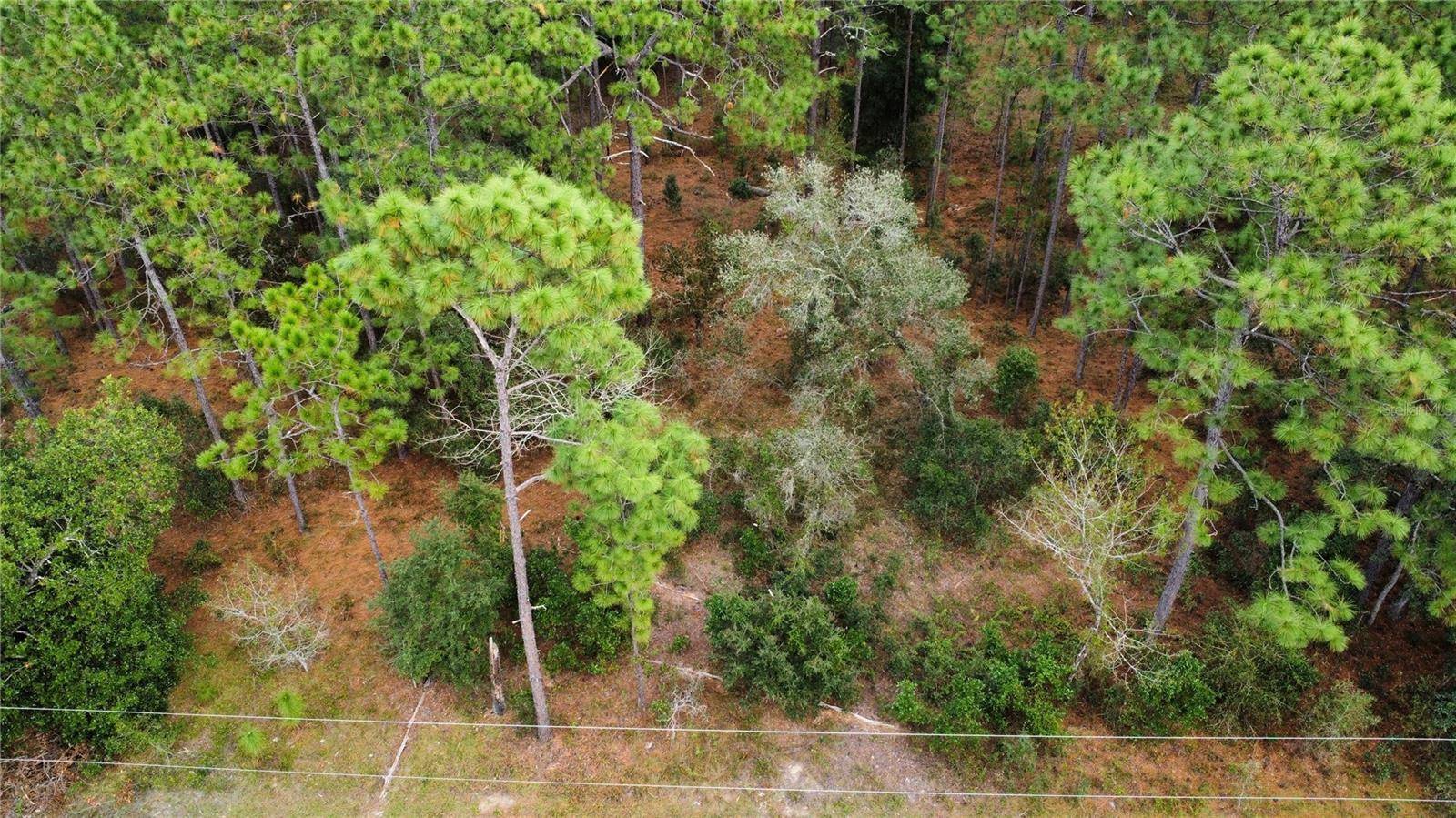 Dunnellon, FL 34431,TBD SW SYLVAN HEIGHTS RD