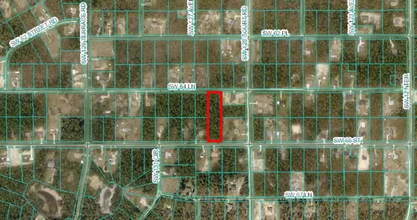 Dunnellon, FL 34431,0 SW 66TH ST