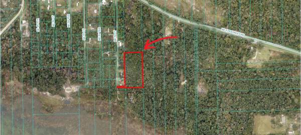 00 NE 52 CT, Citra, FL 32113