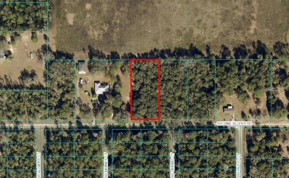 TBD LOT 21 SW PINE BLUFFS RD, Dunnellon, FL 34431