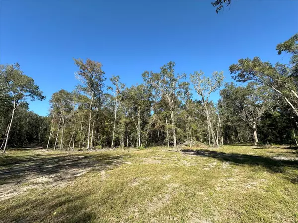 Reddick, FL 32686,55ac W HWY 318