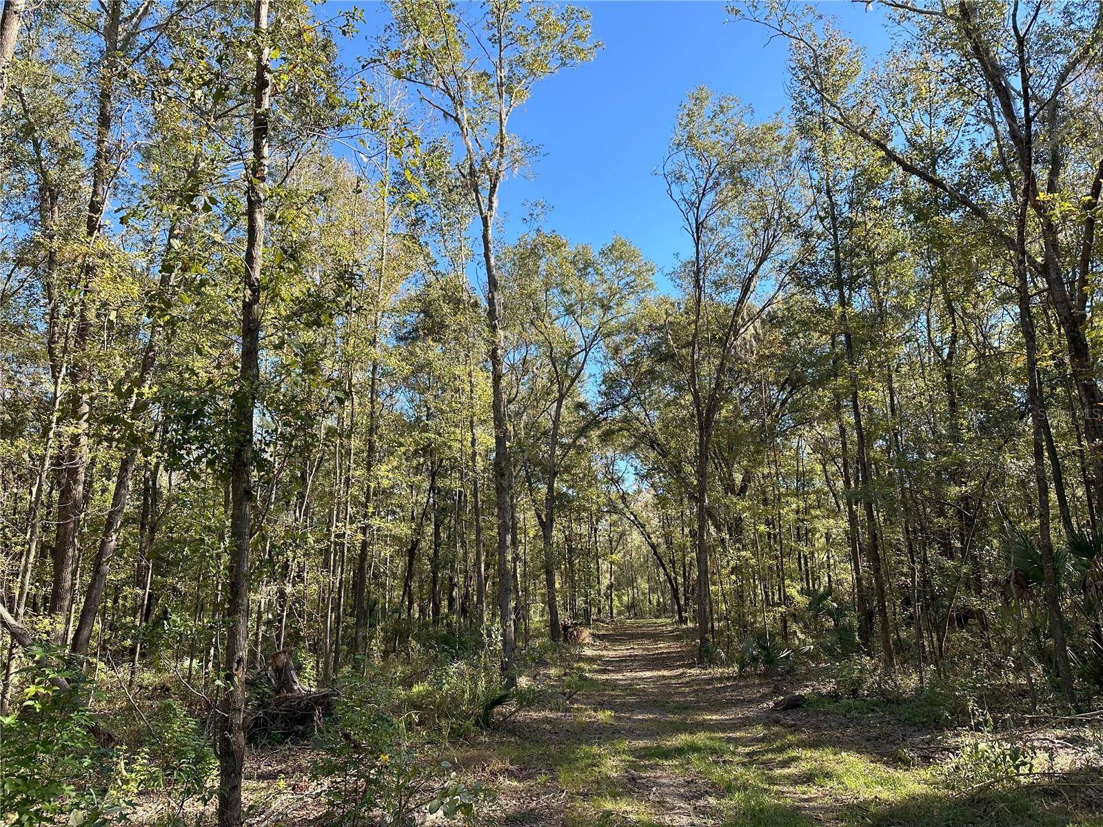 Reddick, FL 32686,105ac W HWY 318