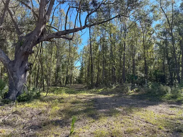 Reddick, FL 32686,105ac W HWY 318