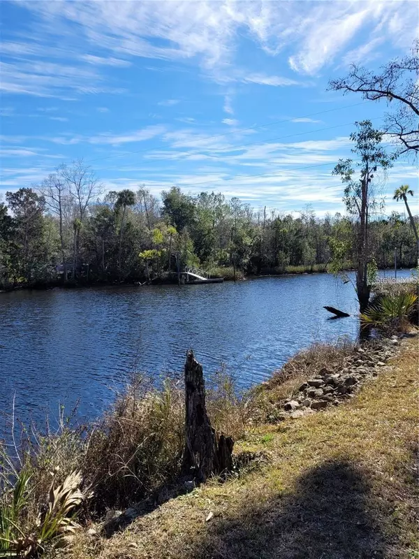 Steinhatchee, FL 32359,0 RIVER BEND WAY