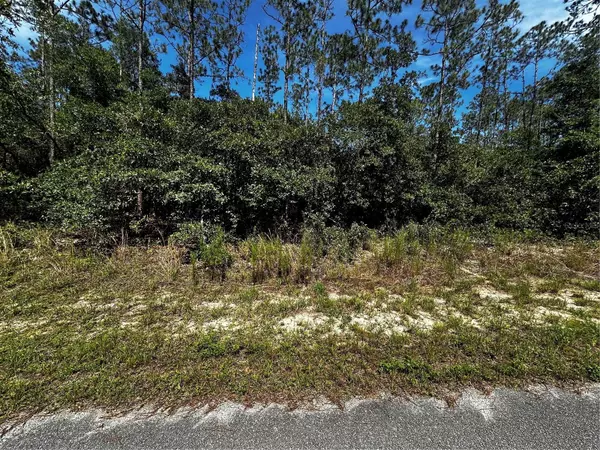 Dunnellon, FL 34431,SW CHANNEL HEIGHTS CT