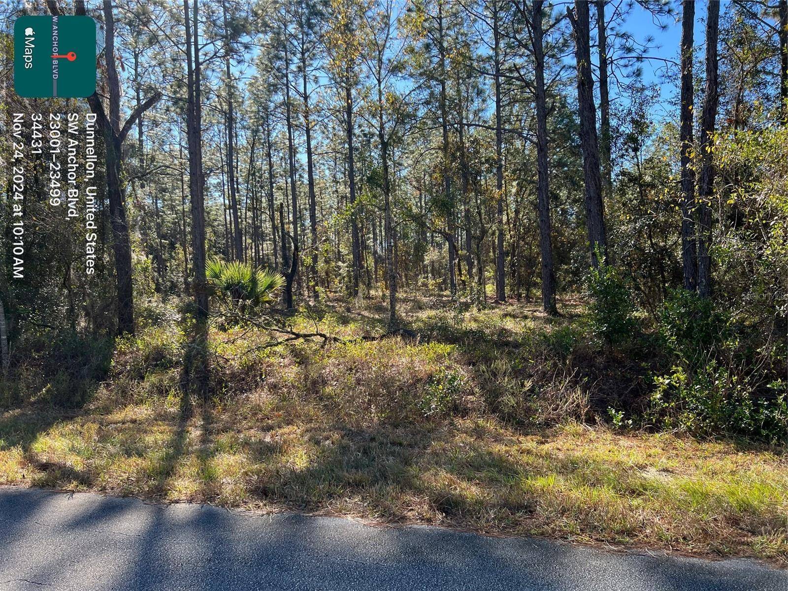 TBD SW ANCHOR BLVD, Dunnellon, FL 34431