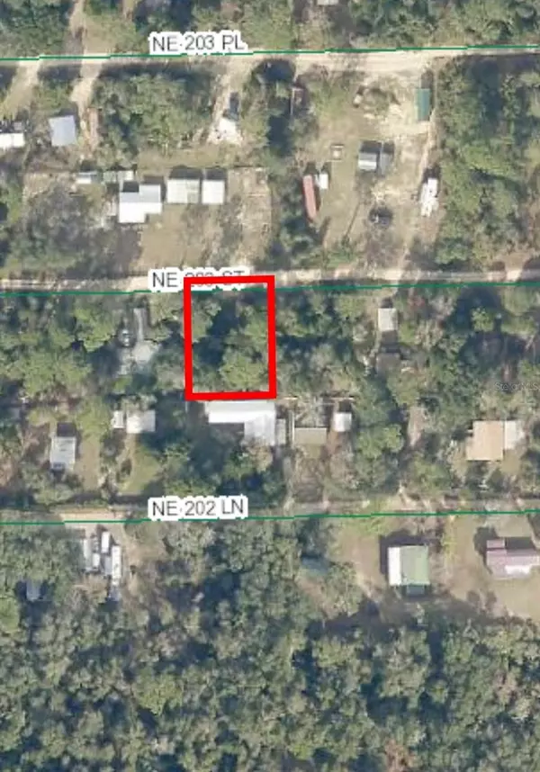 Fort Mc Coy, FL 32134,LOT 11 NE 203RD ST