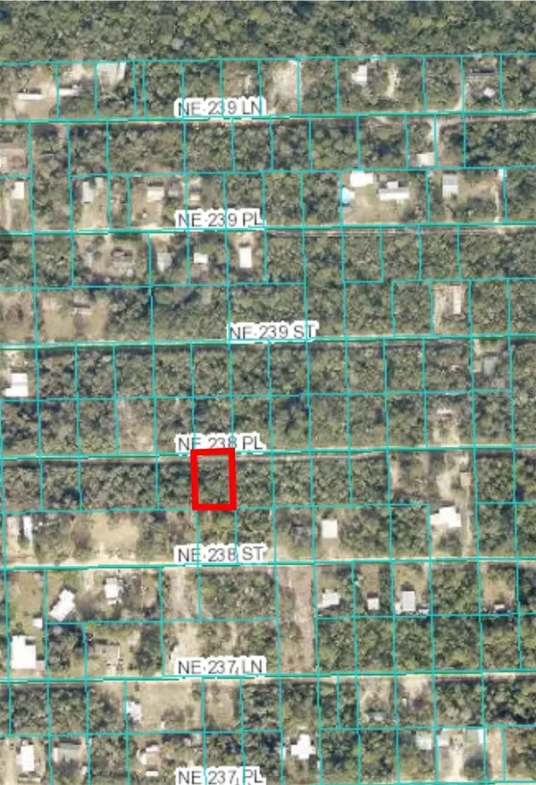 Fort Mc Coy, FL 32134,000 NE 238TH PL