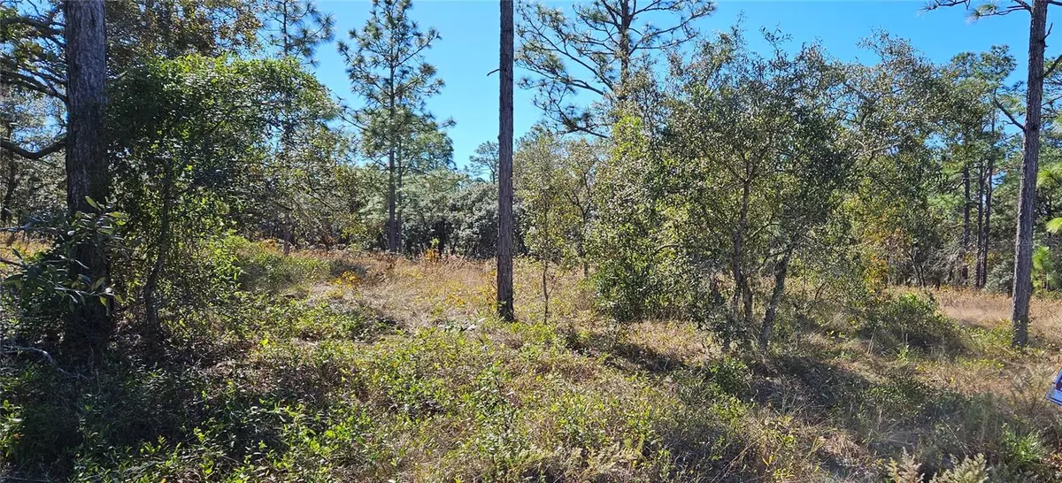 Dunnellon, FL 34431,Lots 34 & 35 SW MANGO