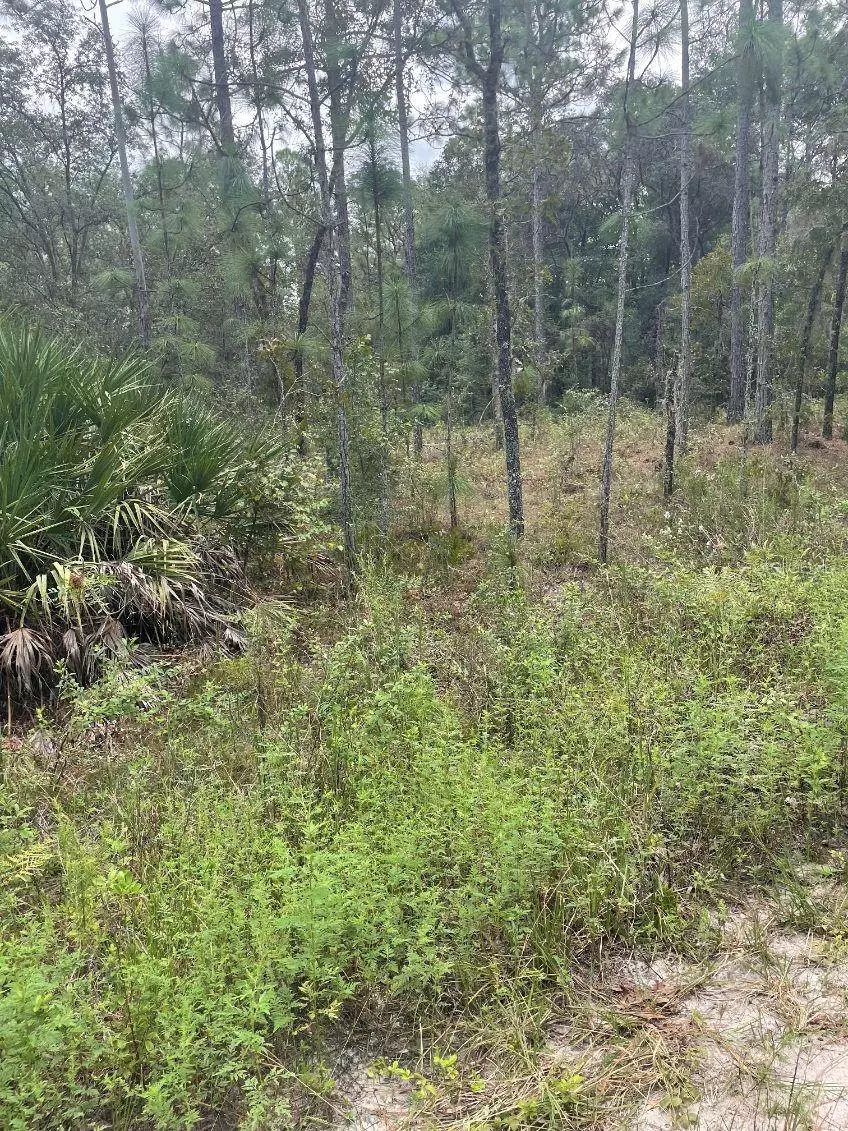 Ocala, FL 34481,Lot 7 SW 159TH AVE