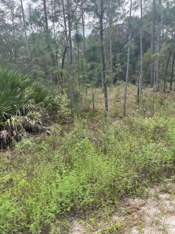 Lot 7 SW 159TH AVE, Ocala, FL 34481