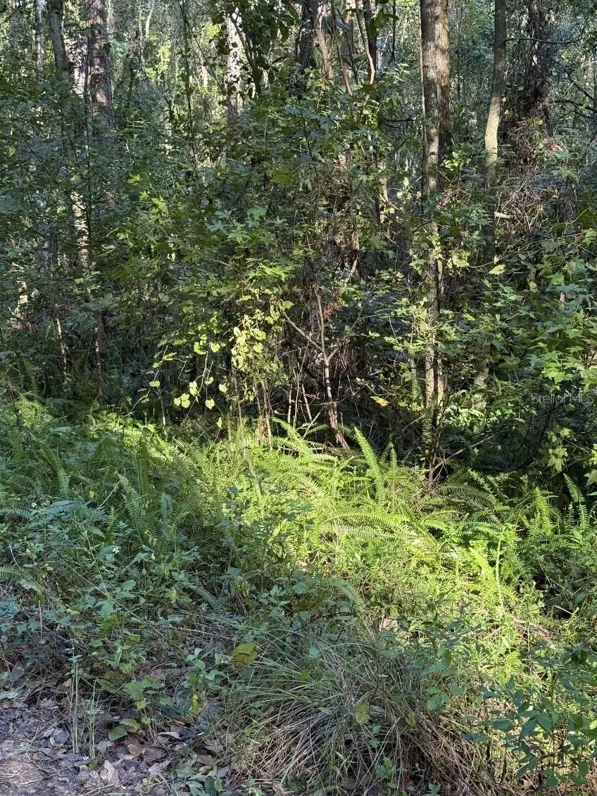 Ocala, FL 34482,TBD NW 7TH ST
