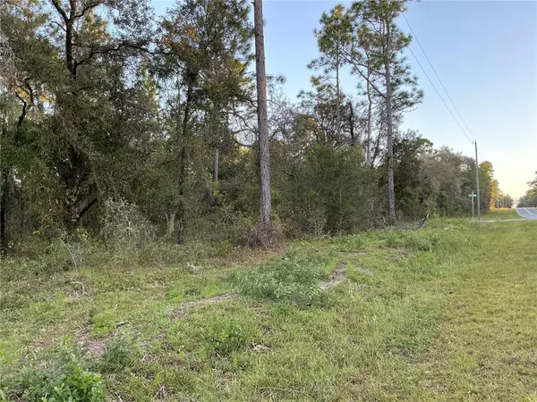 Dunnellon, FL 34431,NW RIDGEWOOD RD