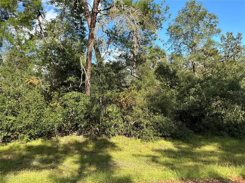 SW 37TH TER, Ocala, FL 34473