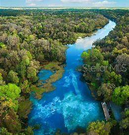 Citrus Springs, FL 34434,736 W HALLAM DR
