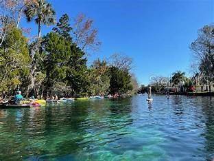 Citrus Springs, FL 34434,720 W HALLAM DR