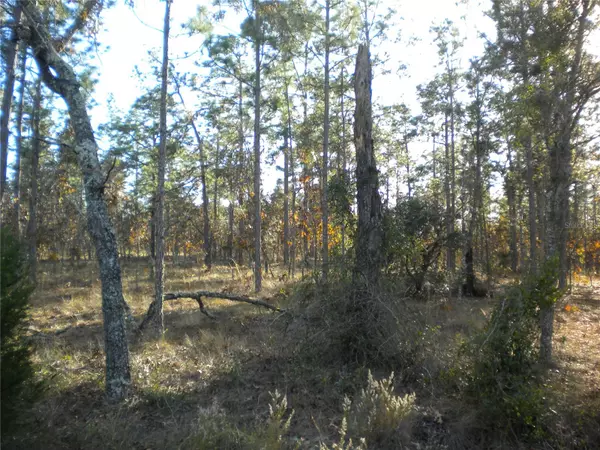 Dunnellon, FL 34431,LOT #6 NW COLUMBINE AVE