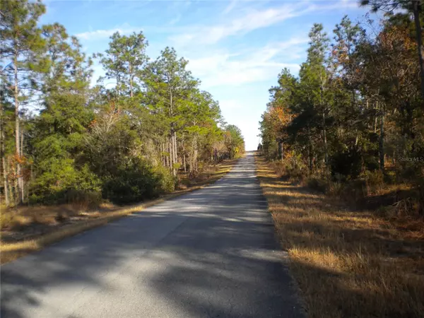 Dunnellon, FL 34431,LOT #6 NW COLUMBINE AVE