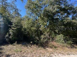 Ocala, FL 34481