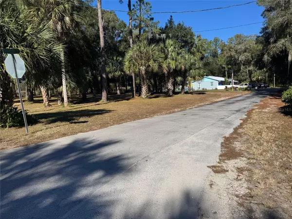 Dunnellon, FL 34431,Lot 3 & 4 ROBINSON RD