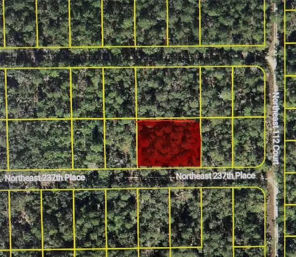 Fort Mc Coy, FL 32134,TBD NE 237TH PL