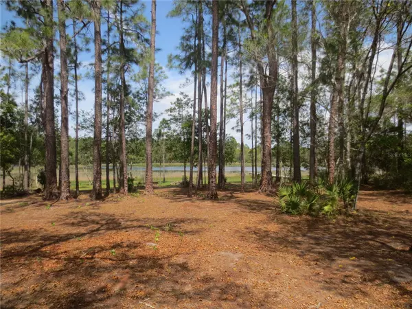 Silver Springs, FL 34488,0 SE 10 ST