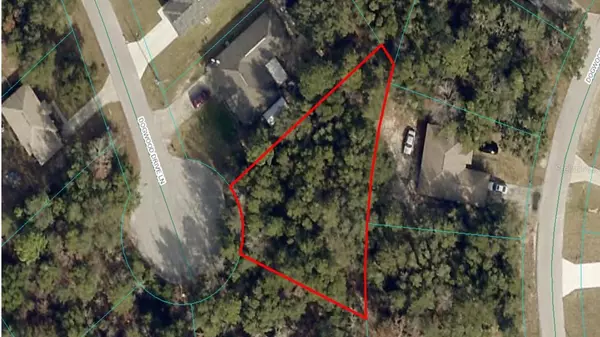 TBA DOGWOOD DRIVE LANE, Ocala, FL 34472