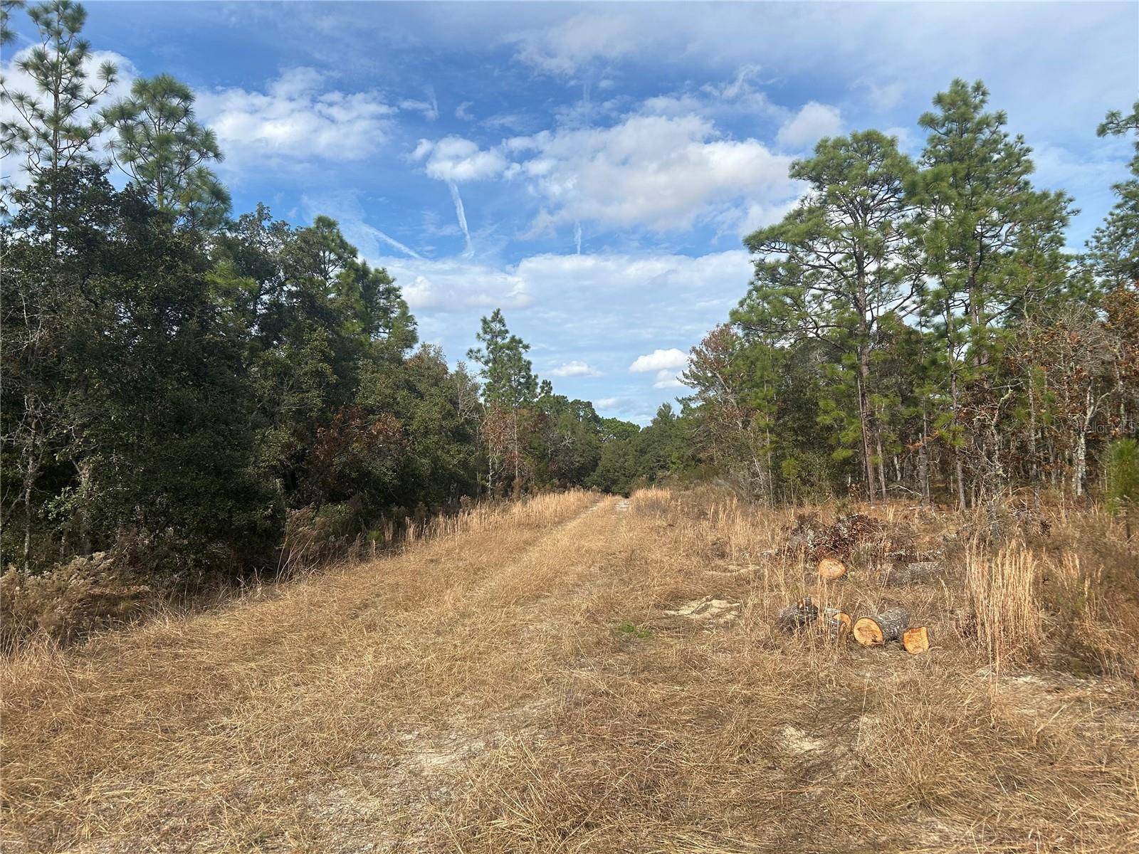 Williston, FL 32696,TBD NE 149TH CT