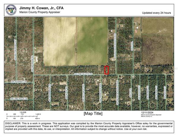 TBD SW PINE BLUFFS RD, Dunnellon, FL 34431