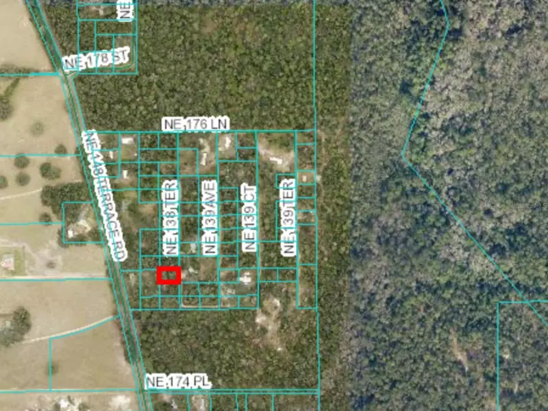 0 NE 138TH TER, Fort Mc Coy, FL 32134