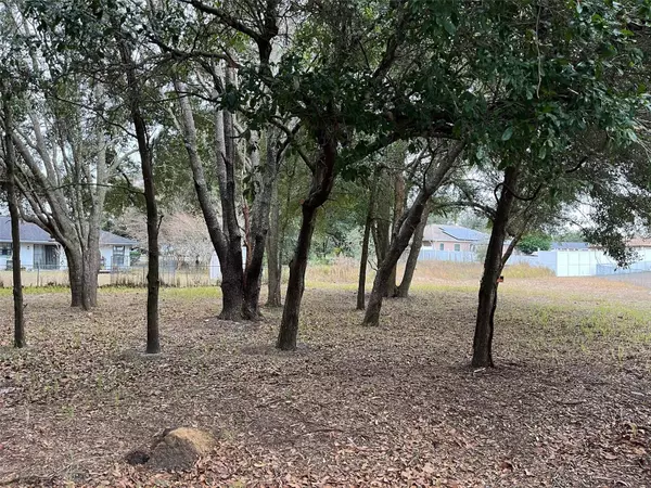 Ocala, FL 34472,Lot 30 HEMLOCK RADIAL CT