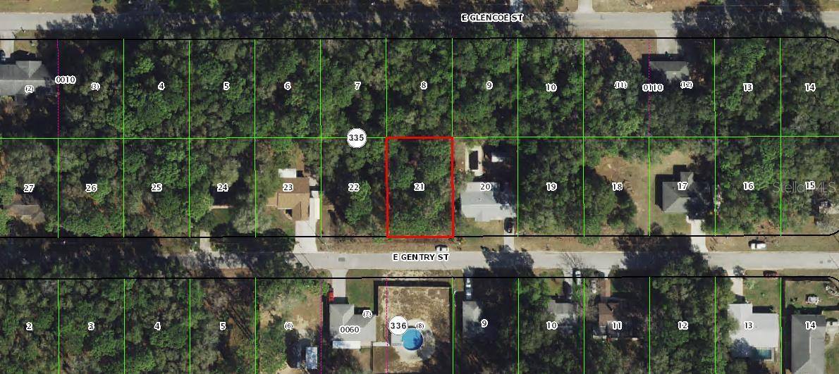 6677 E GENTRY ST, Inverness, FL 34452