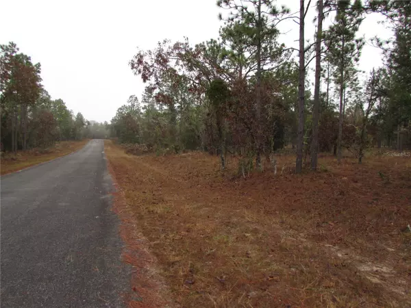 Dunnellon, FL 34431,Lot 57 SE 131 TER